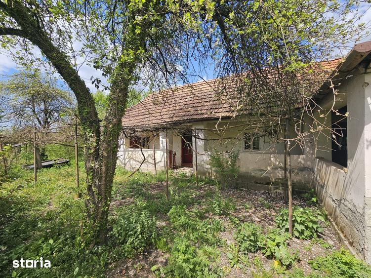 Casă cu 3 camere cu Teren 5571 Mp în Zam