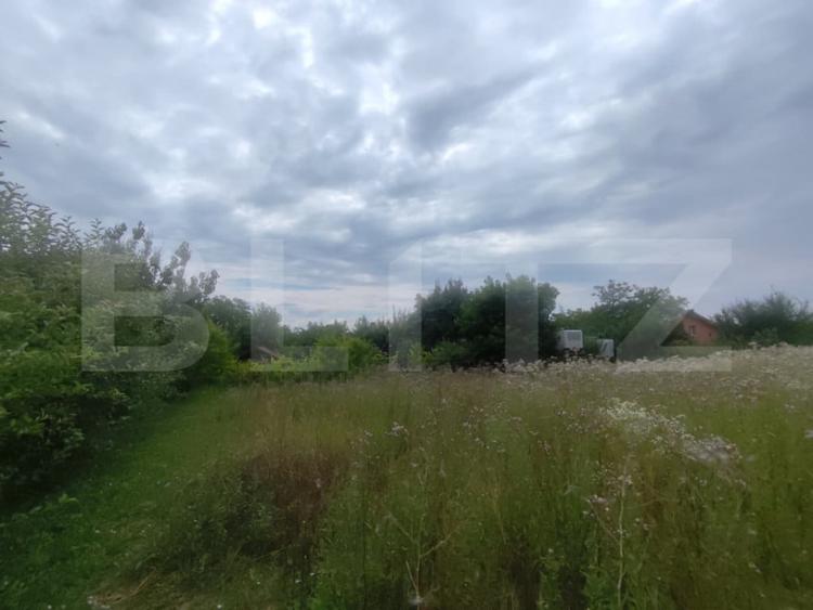 Casa 120 mp utili, 2850 mp teren, zona Bucium - 5