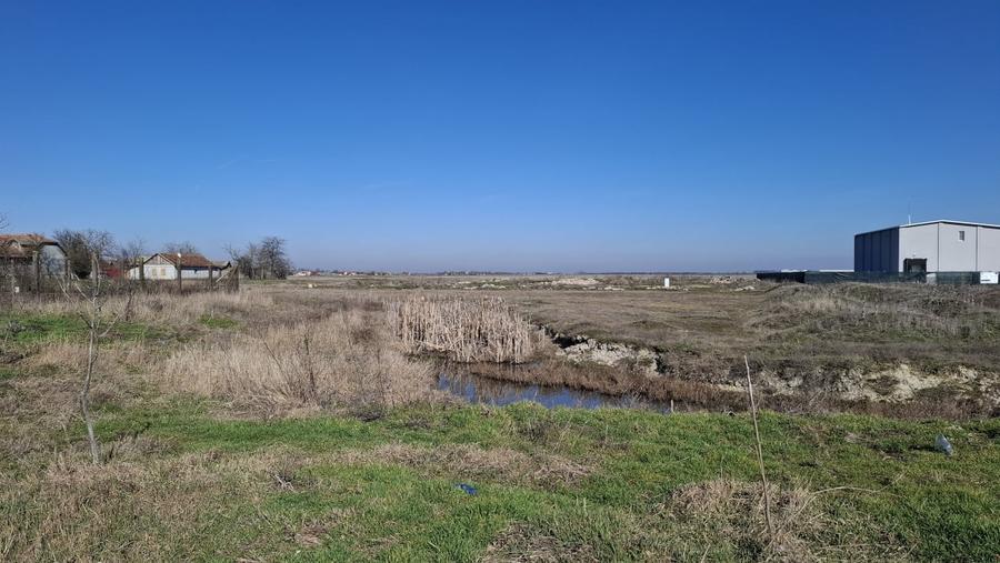 Teren Construcții intravilan de 2781 mp, în Nădlac