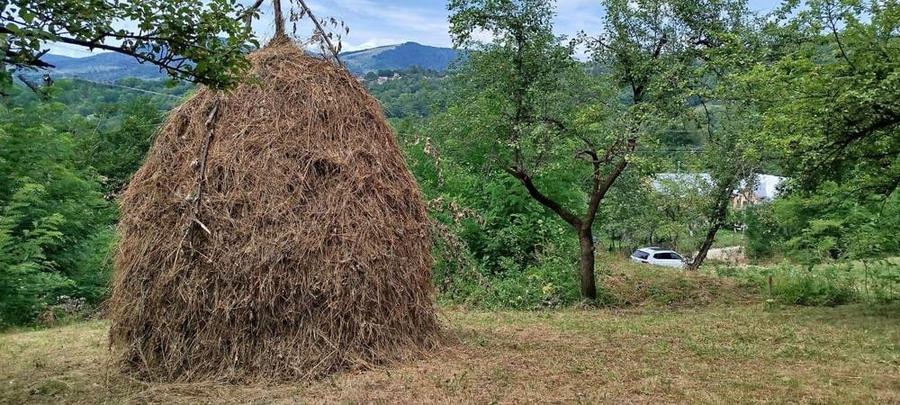 Teren intravilan la munte pentru casa , cabana , pensiune - 9
