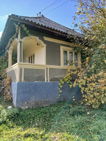 Casă cu 3 camere cu Teren 3000 Mp în Urseiu