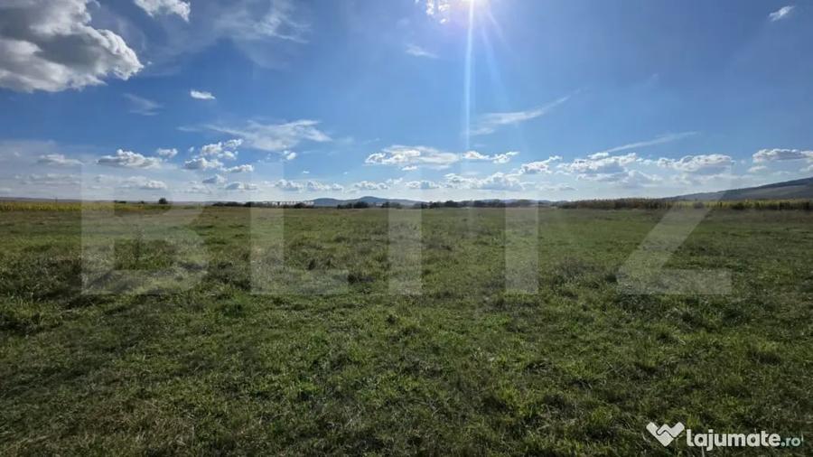 Teren extravilan de vanzare Comuna Cetate, zona lini? - Bistrita (Bistrita-Nasaud) - 4