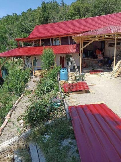 Vand conac de vanatoare in Defileul Dunarii - 8