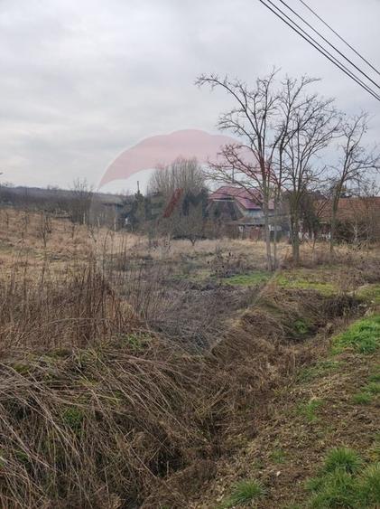 Teren Construcții intravilan de 2341 mp, în Uileacu de Munte