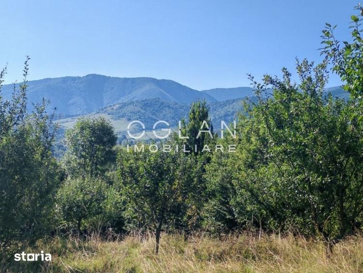 Casă cu 3 camere cu Teren 2760 Mp în Central
