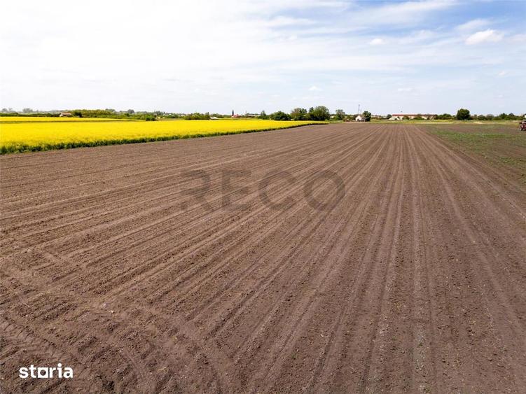 Teren de 13400 mp, în Borș