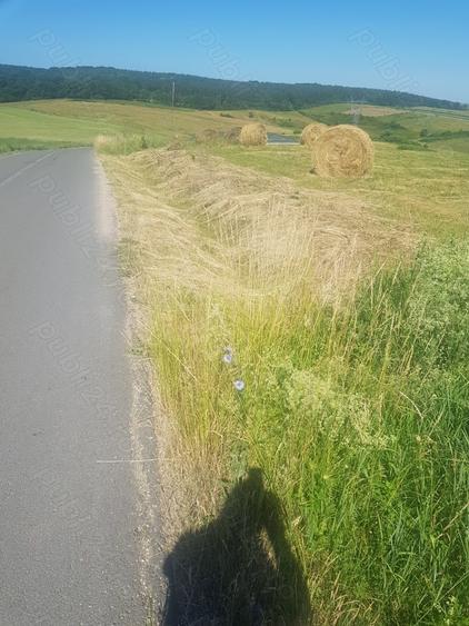 Teren de 7000 mp, în Săliște