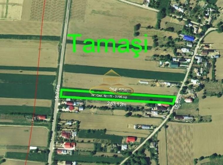 Teren Construcții intravilan de 3796 mp, în Tamași