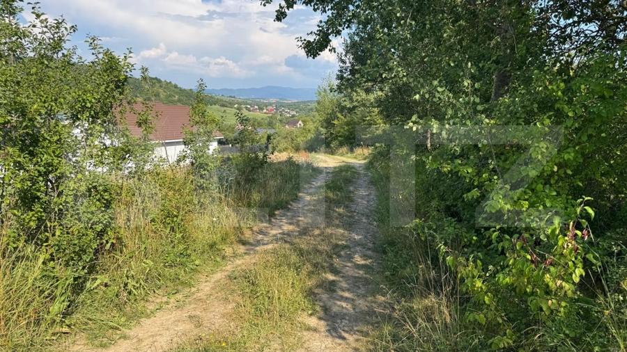 Teren Construcții extravilan de 1500 mp, în Sud