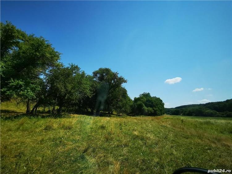 Teren de 50000 mp, în Central
