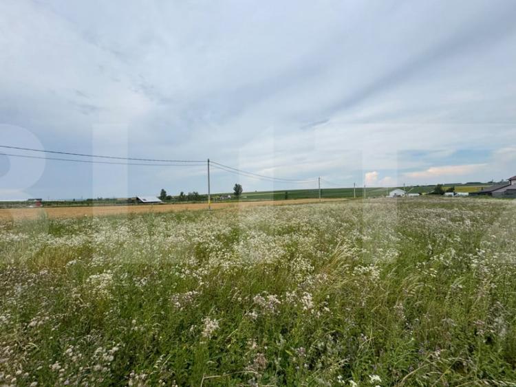 Loturi teren 700 mp Rachiti, Botosani - 1