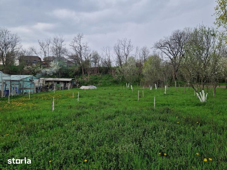 Teren de 1809 mp, în Moțăieni
