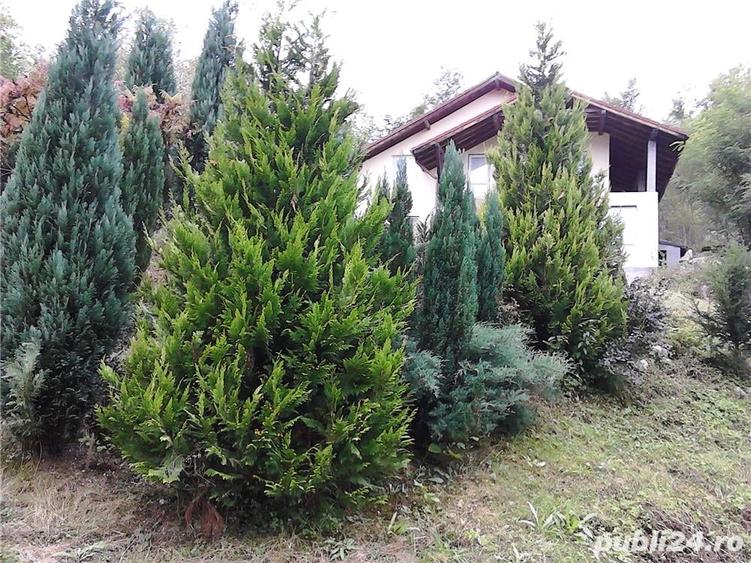 Casă cu 6 camere cu Teren 6000 Mp în Pietreni