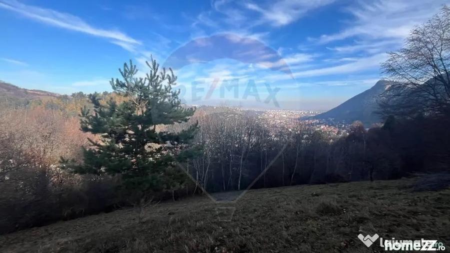 Teren Colinar Panoramic 17.684 mp in Scheii Bra?ovului - 5
