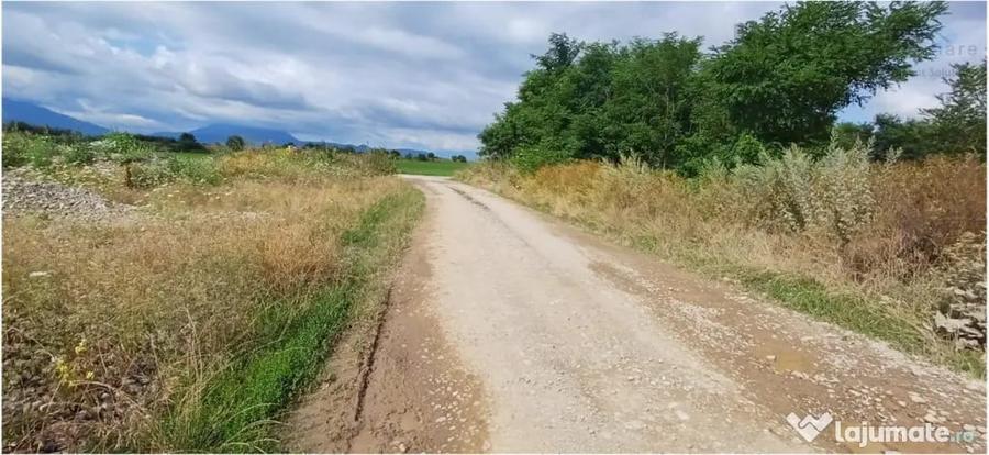 Teren în Hărman