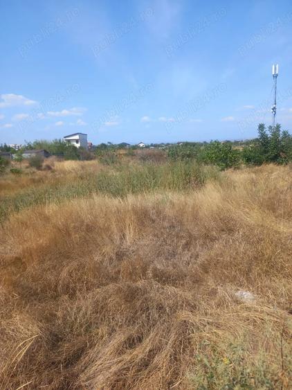 Teren de 4000 mp, în Broșteni