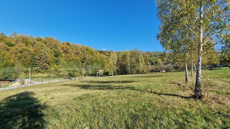 Teren de 10000 mp, în Vânători