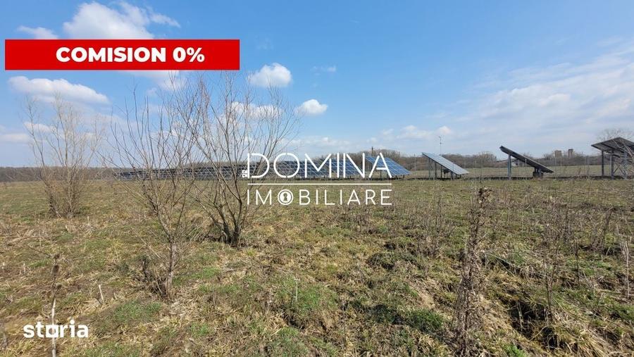 Teren de 978 mp, în Drăguțești