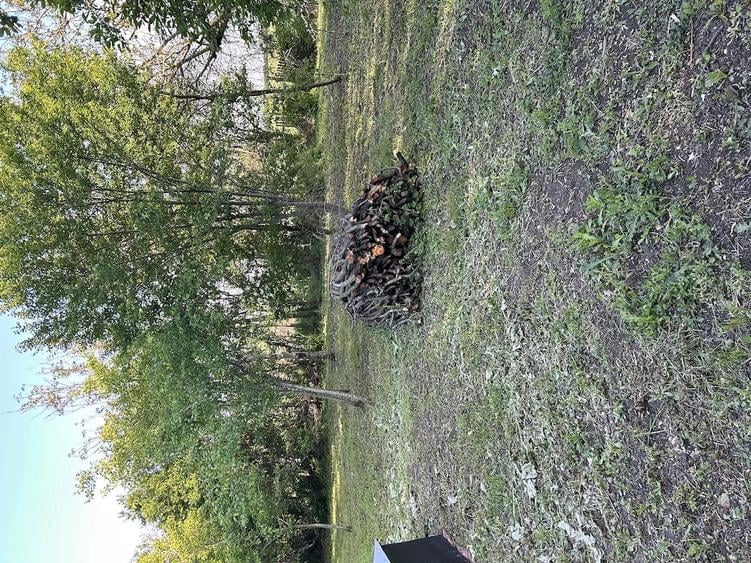 Casă cu Teren 12000 Mp în Chitila