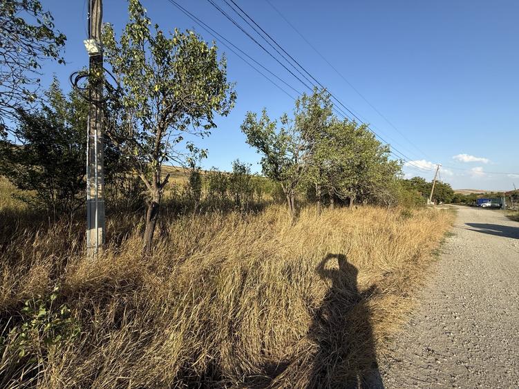 Teren Construcții intravilan de 2900 mp, în Câmpenești