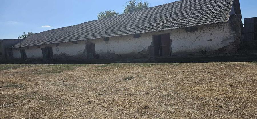 Teren de 16500 mp, în Nord-Vest