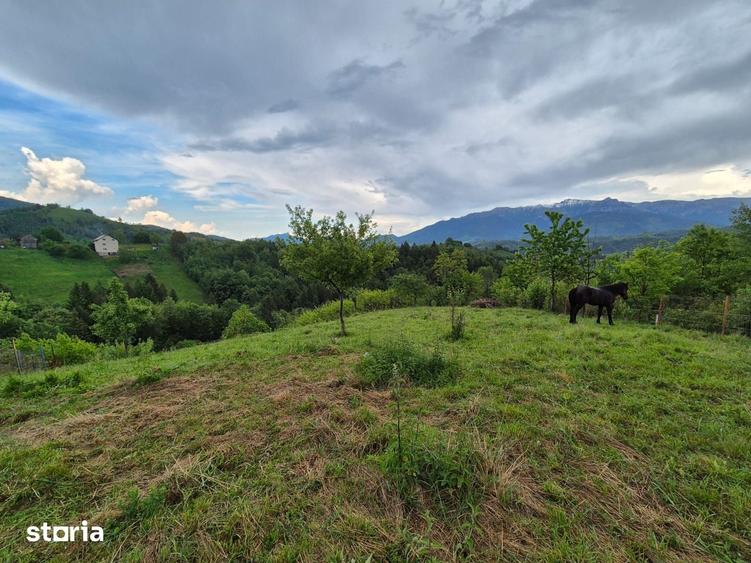 Teren de 3456 mp, în Moieciu
