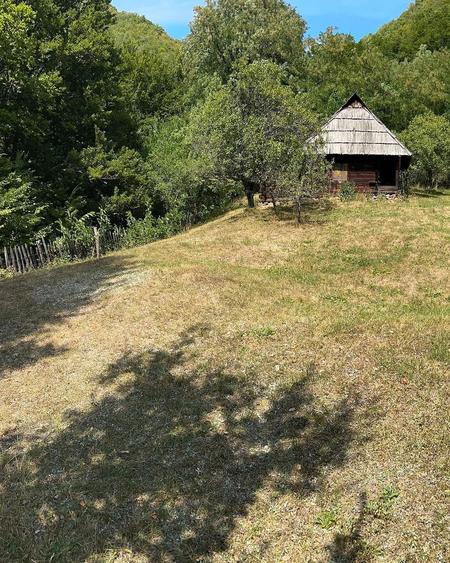 Teren Montan 6.572 mp Jie? (Petrila , Jude?ul Hunedoara) - 3