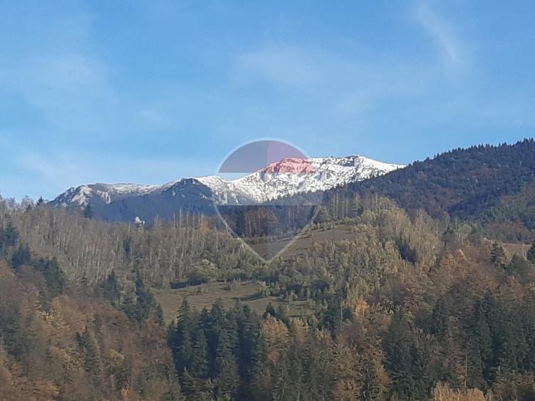 Teren agricol intravilan de 3658 mp, în Bran