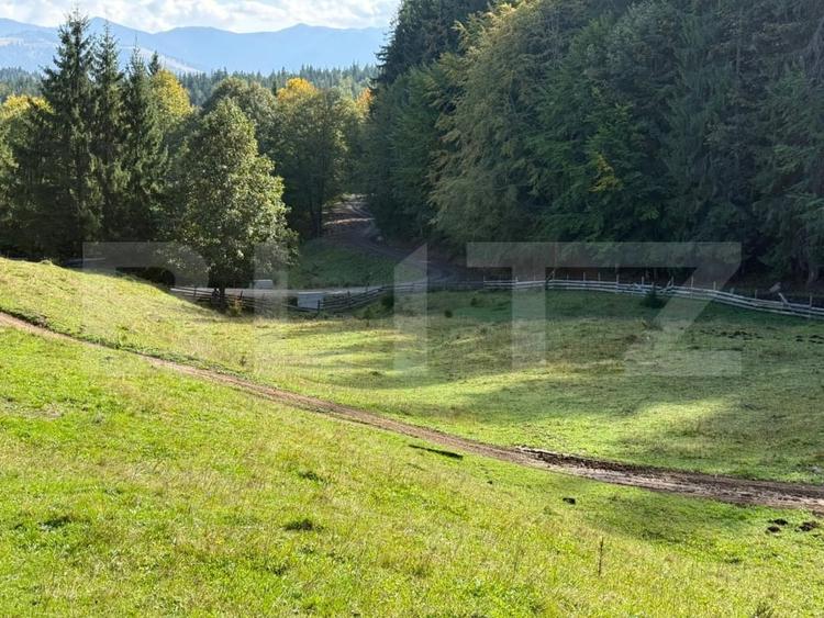 Teren Construcții intravilan de 3926 mp, în Colibița
