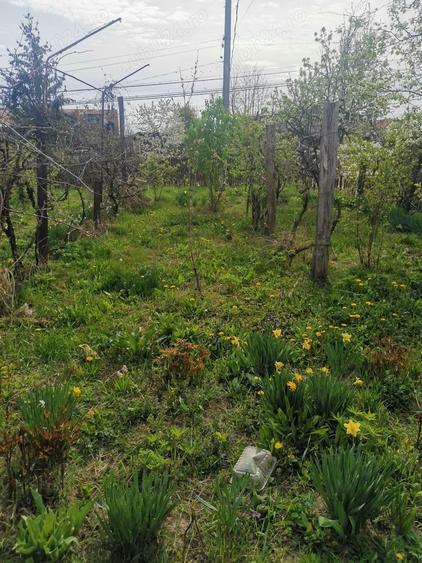 Casă cu Teren 1600 Mp în Dumbrăvești