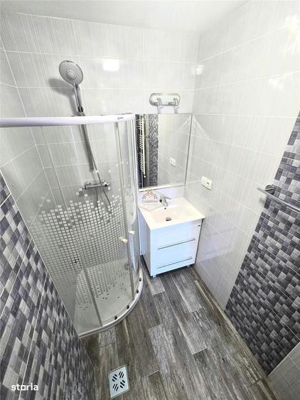 Apartament cu 2 camere decomandat în Botizului