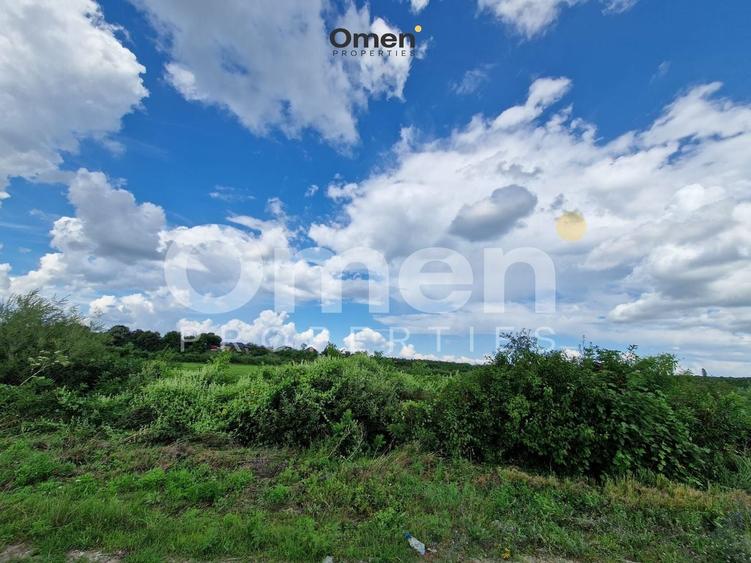 Teren agricol extravilan de 12000 mp, în Hideaga