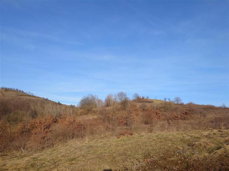 Teren extravilan de 12166 mp, în Vălișoara