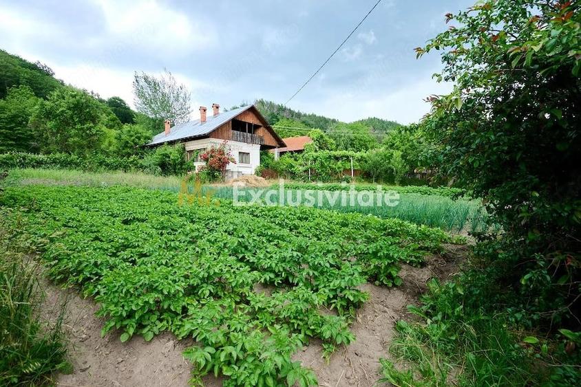 Casă cu 3 camere cu Teren 4696 Mp în Central