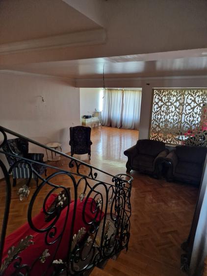 Casa remarcabila Cazasu, Braila - 5