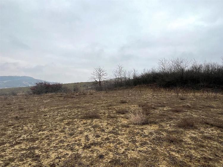 Teren agricol extravilan de 905 mp, în Sigmir