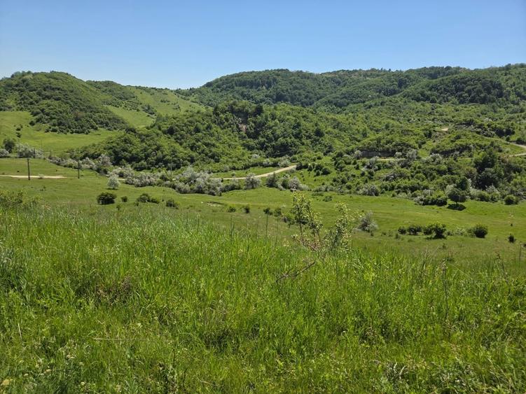 Casa de vanzare, jud prahova la 12km de valenii de munte - 7