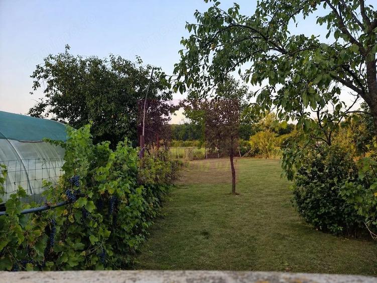 Casă cu 5 camere cu Teren 2875 Mp în Sadina