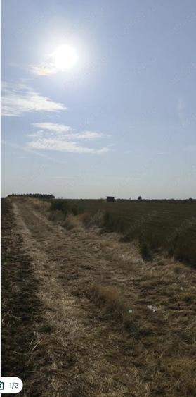 Teren de 30000 mp, în Cârcea