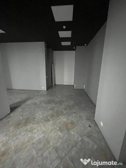 Spatiu comercial B-ra Calarasilor/B-dul Dorobantilor - 12