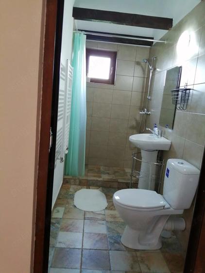 Casă cu 6 camere cu Teren 420 Mp în Paltin