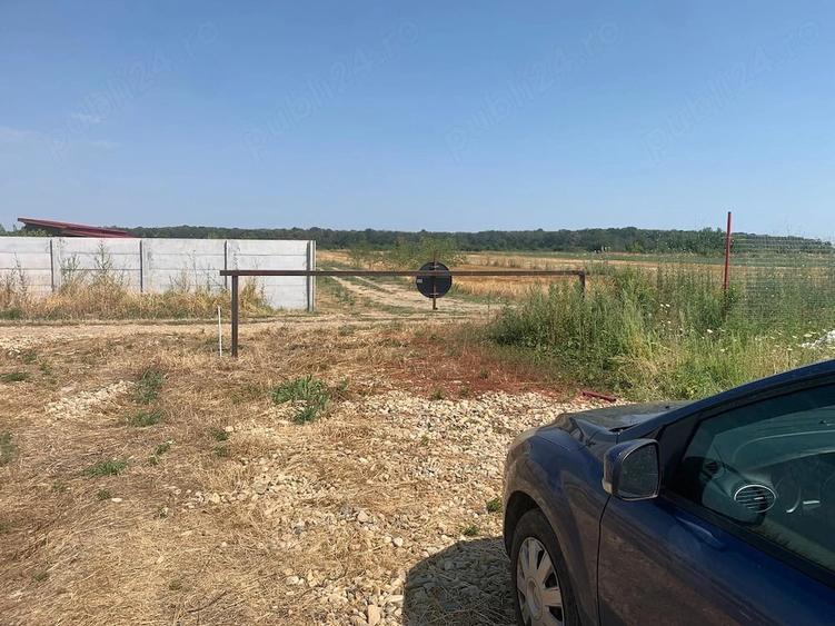 Teren de 330 mp, în Săbăreni