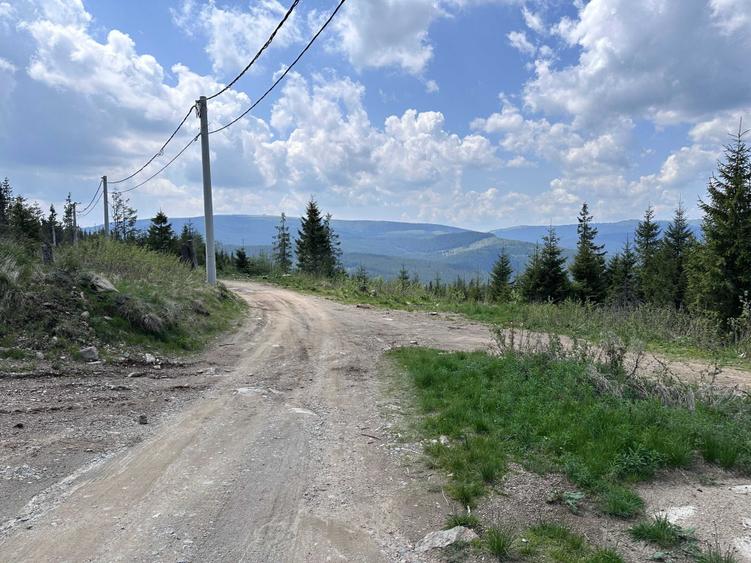 Teren de 1000 mp, în Muntele Băișorii