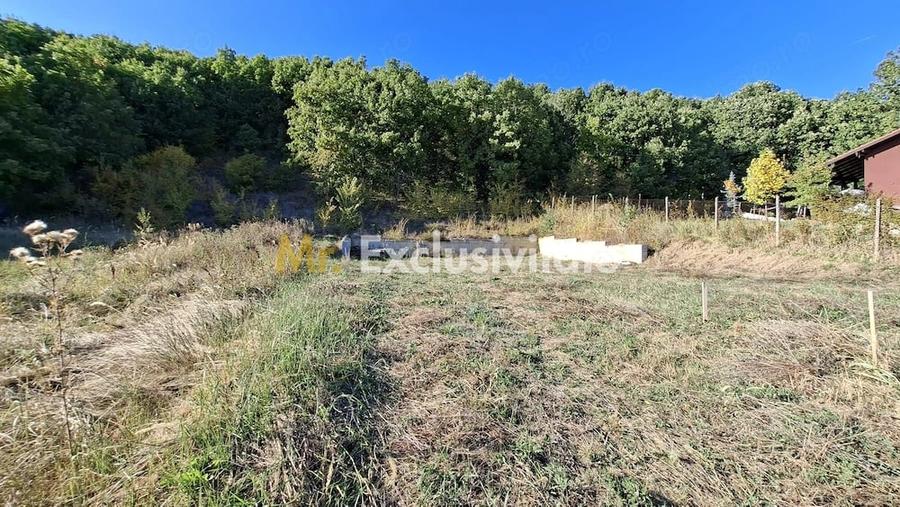 Teren de 2090 mp, în Golești (Ștefănești)