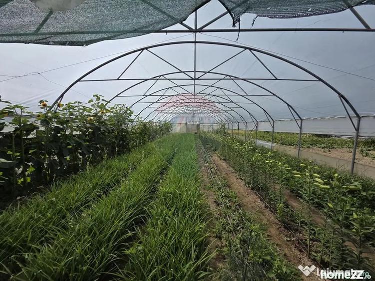 Casă cu 4 camere cu Teren 2229 Mp în Biliești