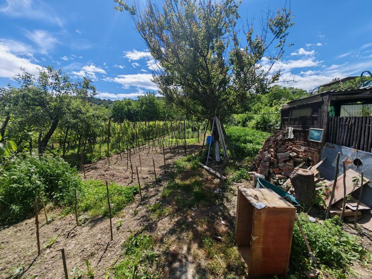 Casă individuală cu 6 camere cu Canalizare în Exterior Sud