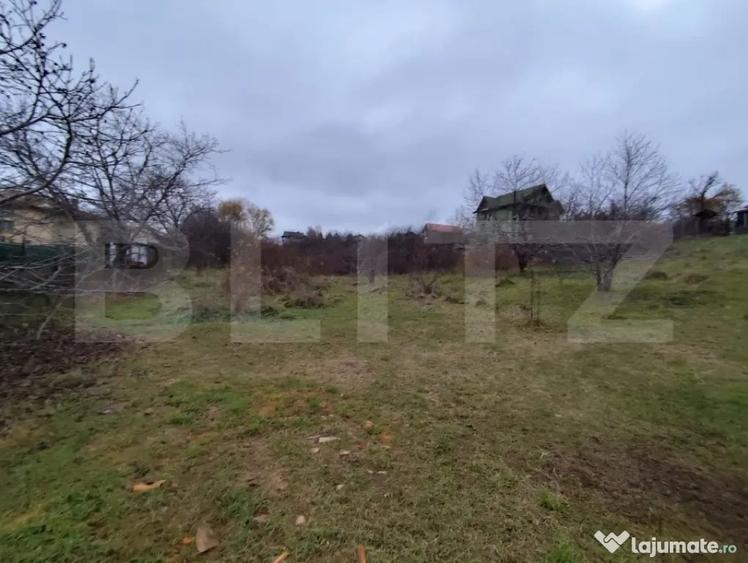 Teren de 2600 mp, în Strugurilor