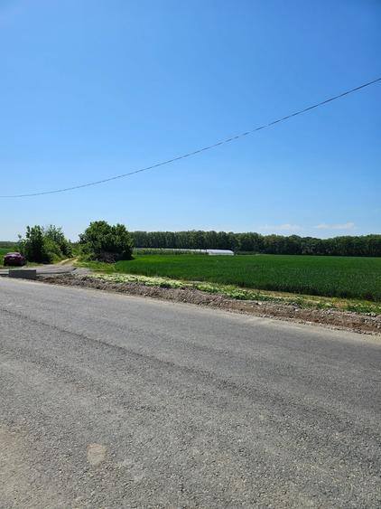 Teren Construcții intravilan de 17714 mp, în Bălteni