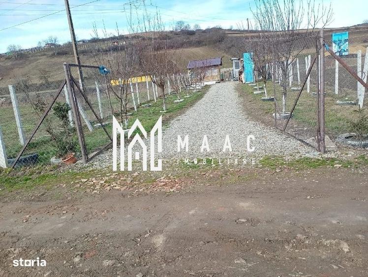 Spațiu comercial, în Șura Mare