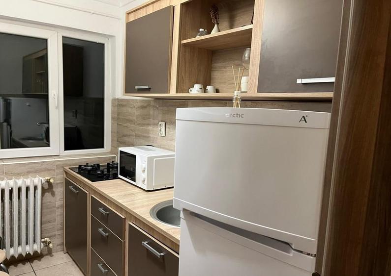 Apartament cu 1 camera Someseni - 2
